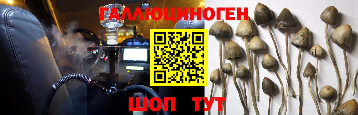 Галлюциногенные грибы Psilocybe  Псилоцибиновые грибы MAGIC MUSHROOMS  Бахчисарай  Вход с VPN 